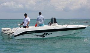 Fancy a career in boating?